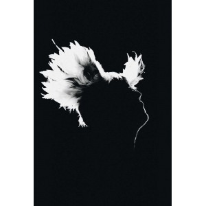 M - Live &agrave; Bercy 2010