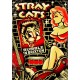 Stray Cats -Rumble In Brixton 